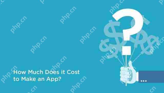 市场饱和下的打车软件开发成本与收益的平衡