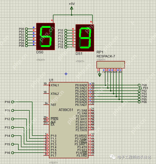 单片机入门：数码管静态显示
