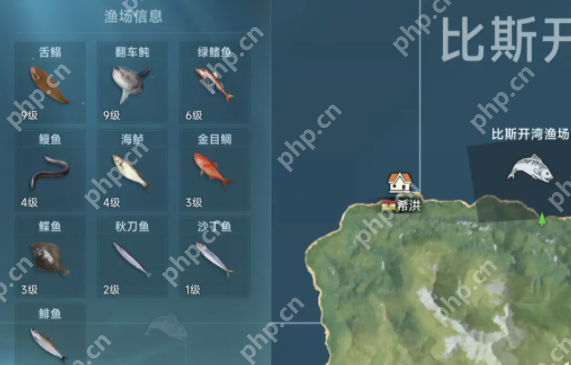 大航海时代传说全渔场鱼类图鉴:从菜鸟到捕鱼达人的终极指南