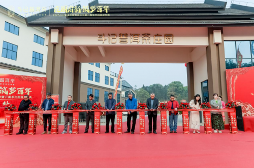 从茶园到茶杯!斗记普洱茶庄园扎根云南,百年愿景引领行业新未来