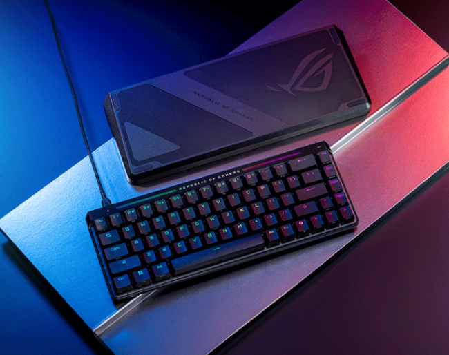 热烈祝贺VITALITY战队首夺冠军，魔导士ACE HFX实力卓越