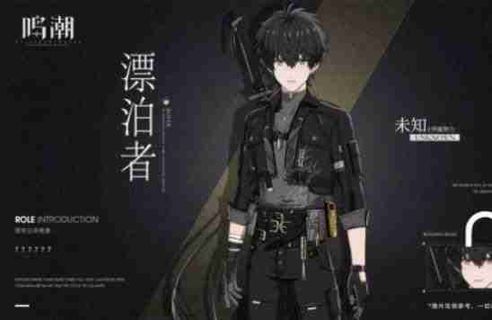 《鸣潮》漂泊者最新阵容搭配技巧指南