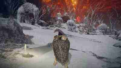 《艾尔登法环》刷怪靶场点位详细推说明