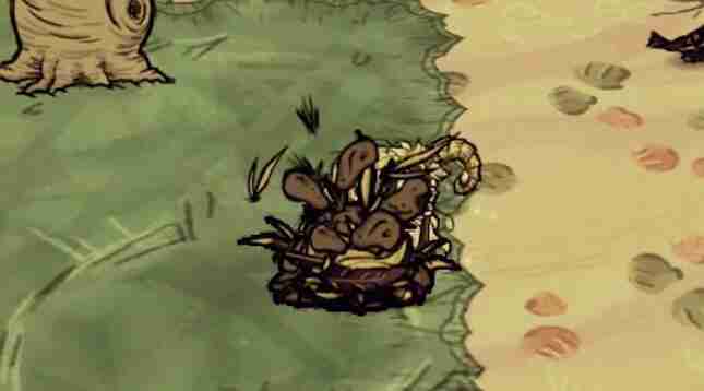 《饥荒新家园》海带种子怎么获取-海带种子快速获取方法介绍