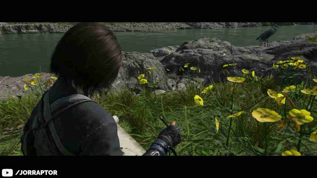 刺客信条:影实机视频揭示诗意探索与文化融合