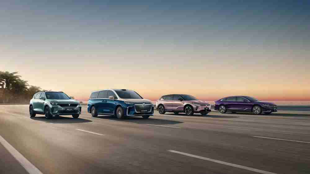 唯一车企 岚图汽车入选总台2024 新质生产力年度案例