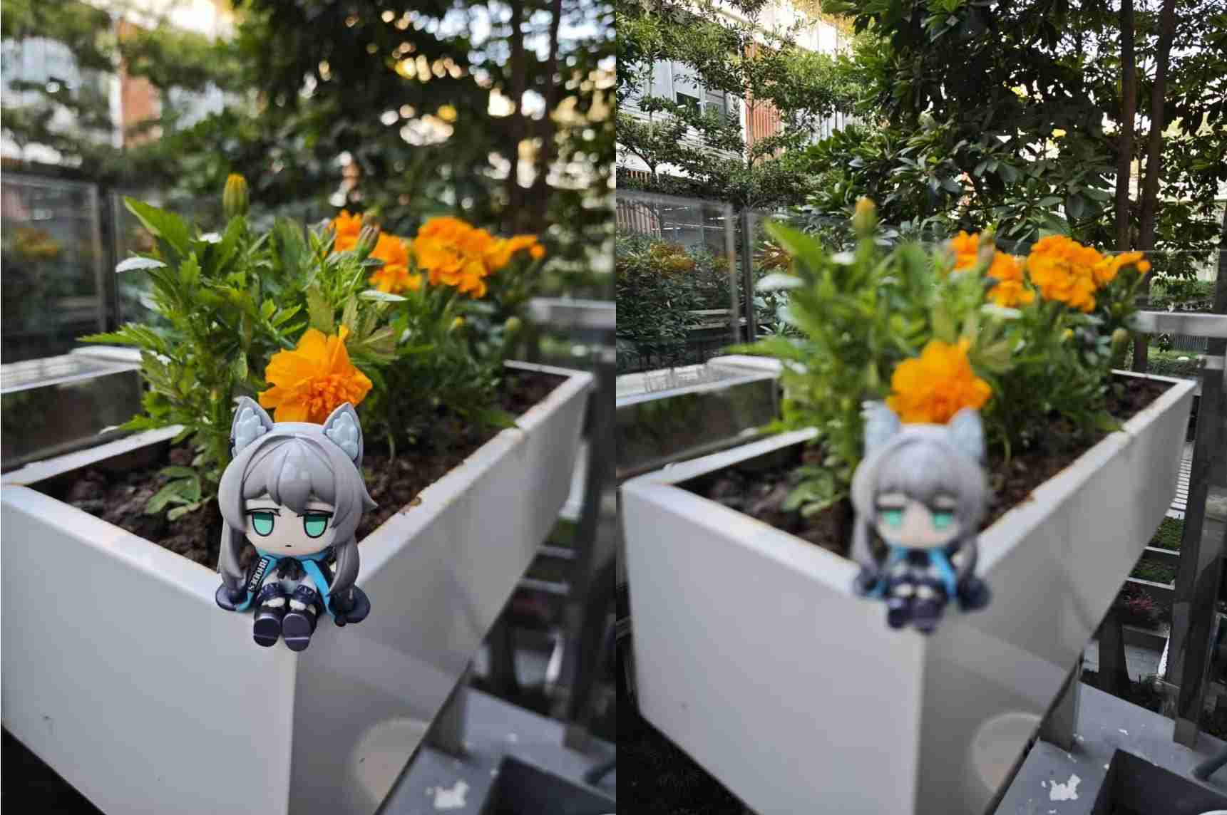 手机拍照专业模式大横评：米OV各具特色，AI重新定义专业？