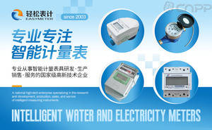 最受欢迎的水表前十名 市场上人气爆棚的水表品牌