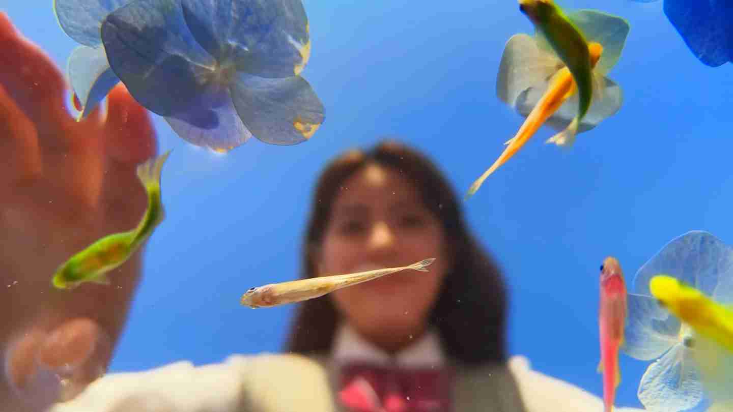 OPPO Reno 13 手机全系支持 IP69 防水，提供水下相机拍摄玩法