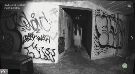 “胆小走开 胆大进来”超恐怖游戏续集《日本闹鬼房产监测协会2》游戏报告