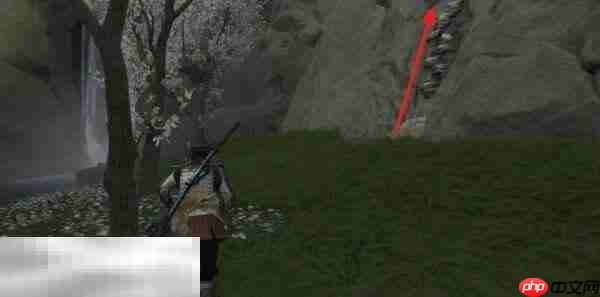 羊蹄山之魂羊蹄山神社祭坛在哪里 羊蹄山神社祭坛位置详情