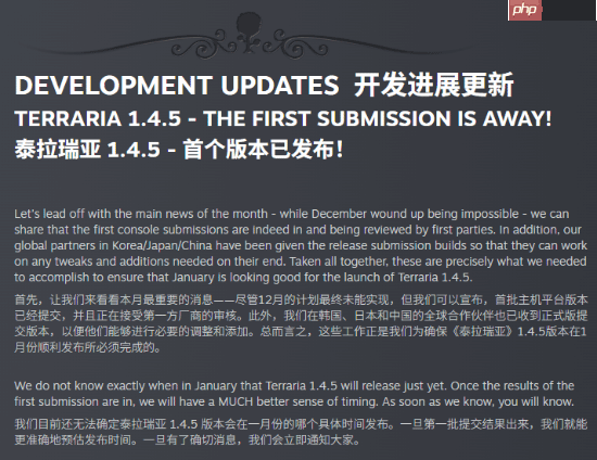 我真幸运：《泰拉瑞亚》1.4.5更新定档1月份！