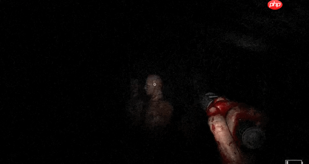 好评心理恐怖系列回归!《不要害怕:精神病院》Steam中文页面上线