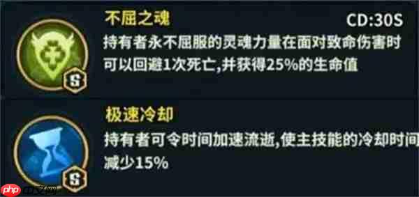 佣兵小镇斯拉欧加阵容搭配推荐