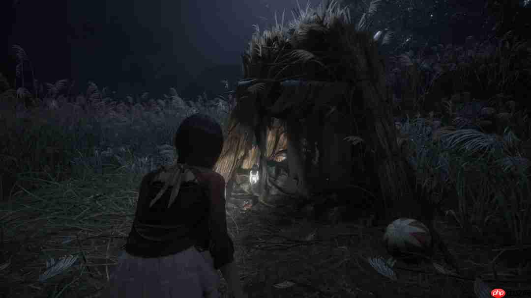 《零红蝶:重制版》官方放出新截图 更多详细设定公布