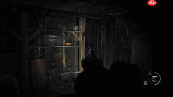 《生化危机4：重制版》变COD？大神制作第一人称mod 全武器瞄具