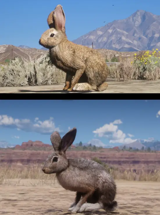 抽象建模看笑了!玩家对比《给他爱5》&《荒野大镖客:救赎2》动物建模