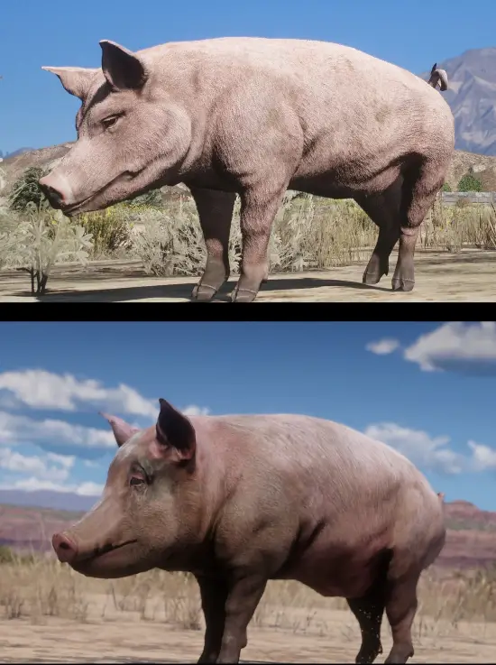抽象建模看笑了!玩家对比《给他爱5》&《荒野大镖客:救赎2》动物建模
