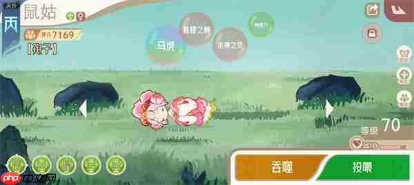 山海进化录新版神山6打法攻略