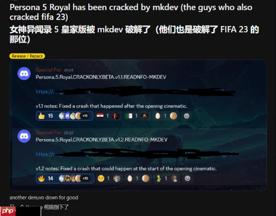 D加密如此遭人恨?P5R成功破解引外网热议