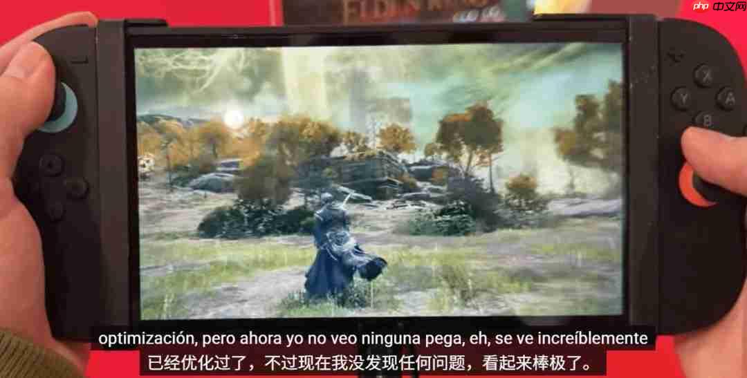 《艾尔登法环》NS2版优化还好 能正常玩了