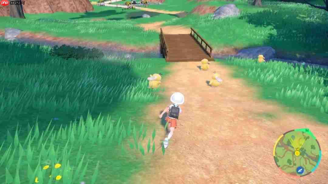 《宝可梦》第十世代骑行系统：