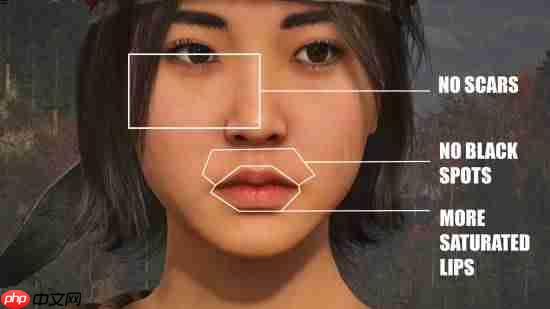 《刺客信条：影》奈绪江面部美化MOD