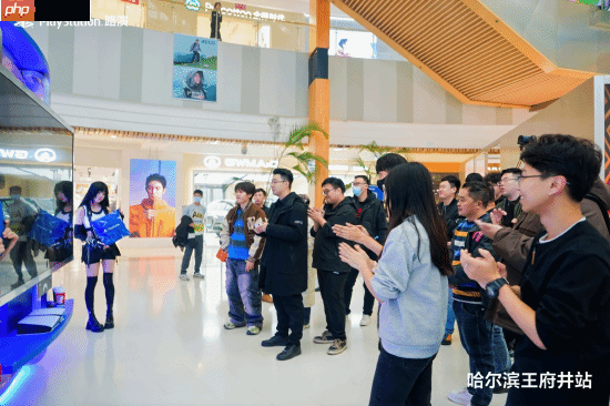 PS全国路演哈尔滨站来了：不怕冷的蒂法陪你打游戏！