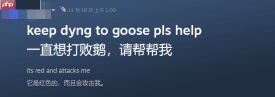 大鹅凶蛮已成国际玩家共识：老外也打不过《燕云十六声》的大鹅