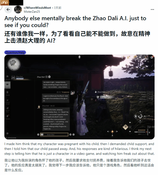 NPC:你怀了我的孩子?!《燕云十六声》震惊老外