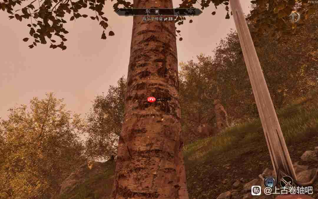 《上古卷轴4:湮灭重制版》攻略——大衮套获得方法介绍